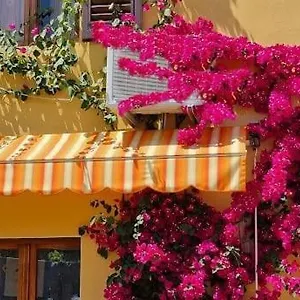 Appartamento In The Heart Of Tuscany